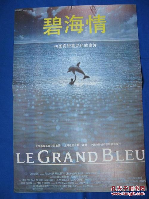仿制假美国护照
